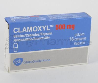 Pharmacie Parent Sprl Substances Actives A Amoxicilline Clamoxyl 500 Mg 16 Caps