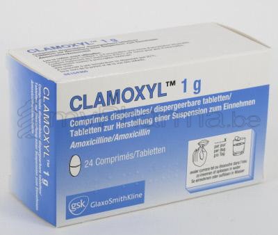 Pharmacie Parent Sprl Substances Actives A Amoxicilline Clamoxyl 1 G 24 Comp