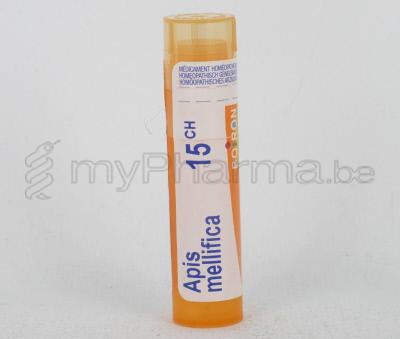 APIS MELLIFICA                   15CH GR 4G BOIRON (médicament homéopatique)